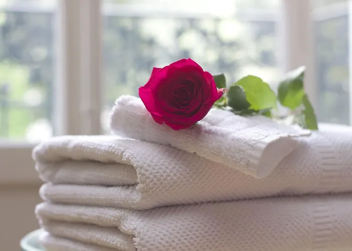 Cera San Marco Terrace Wenecja